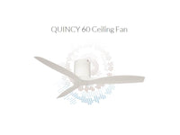 Spin Signature QUINCY Dc Fan 43"/52"/60"