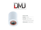 CEILING LAMP ROUND CYLINDER 1209 ( GU10 BLACK / WHITE )
